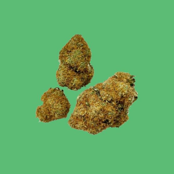 Purple Mimosa