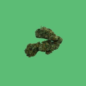 Mimosa EVO