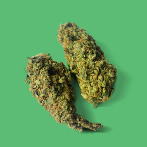 Fruit Punch